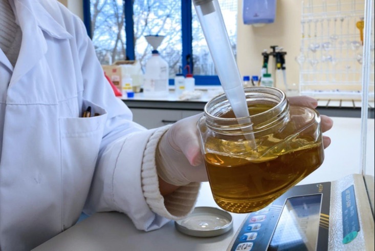 Laboratory technician testing a honey sample