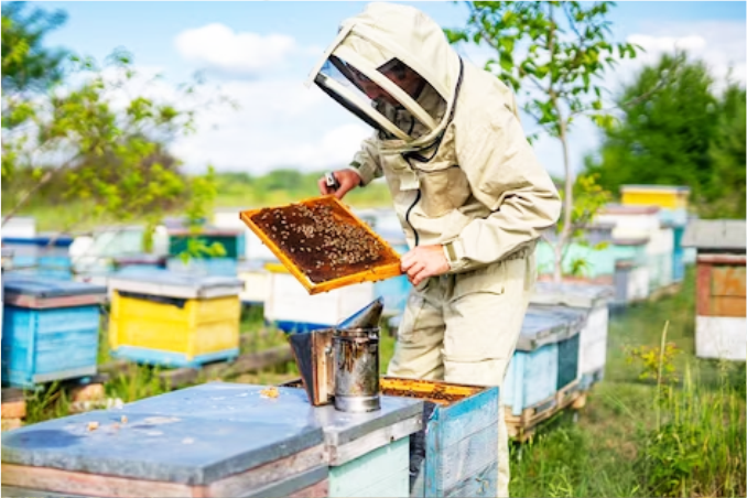 Honey Manufacturers